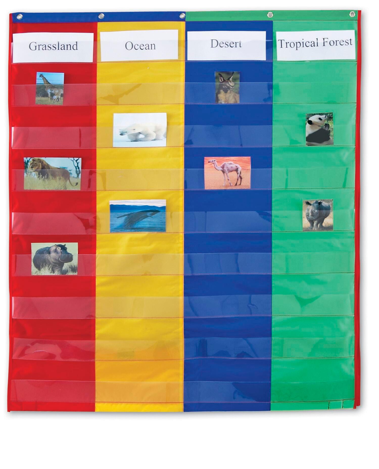 Learning Resources 2 and 4 Column Double-Sided Pocket Chart, 30 x 38 Inches 1397829